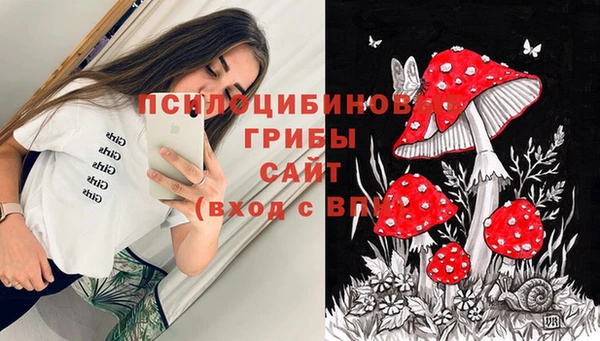 спиды Нея