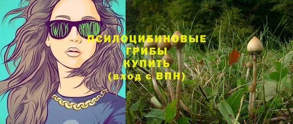 мдпв Нефтекумск