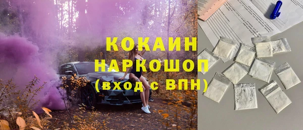 МДПВ Нефтегорск