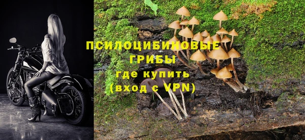 хмурый Надым