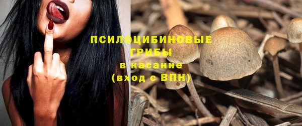 спиды Нея