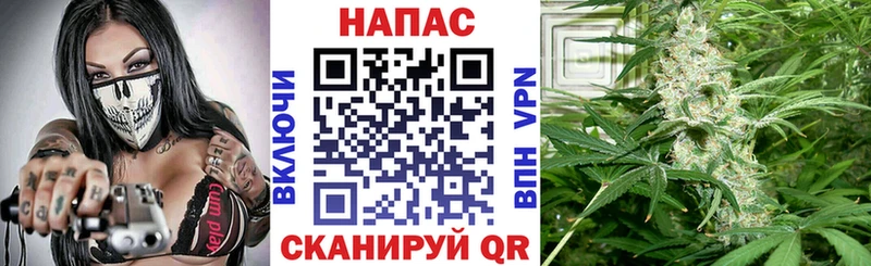 Конопля VHQ  закладка  Новый Оскол 